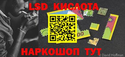 PSILOCYBIN Бугуруслан