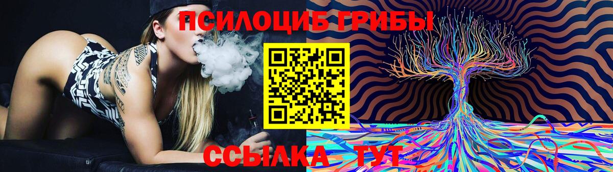 Псилоцибиновые грибы MAGIC MUSHROOMS  Вход с VPN  Галлюциногенные грибы мухоморы  Фрязино 