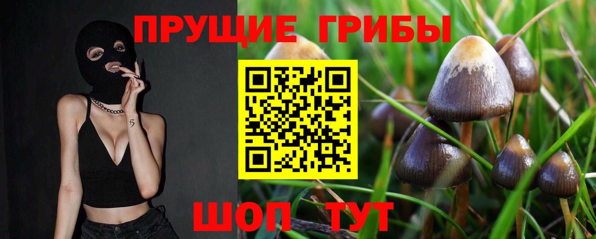 Псилоцибиновые грибы прущие грибы Фрязино